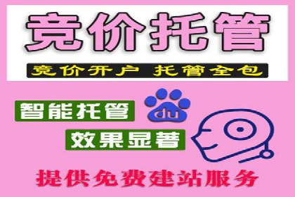 某品牌SEM广告投放的ROI提升案例